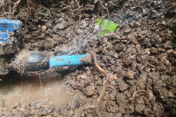Water Mains Leak Detection Colchester